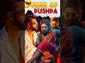 FEAR OF PUSHPA| #shorts #pushpa2 #vickykaushal