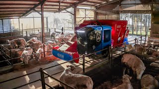 Feeding at the Social Stable of Monastier 🐮