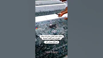 لحظة سجود حمامة امام الكعبة سبحان الله العظيم السجود حمامة 