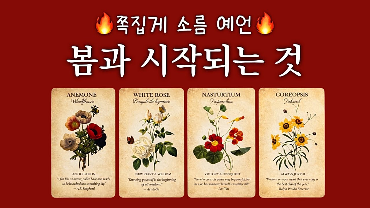 [타로] 3월 4월 5월 봄에 일어날 일🌷 (feat. 새로운 운의 흐름)