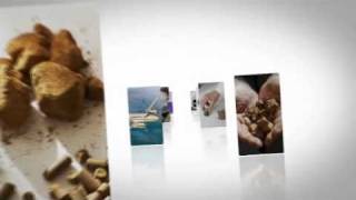 Cepi -Biovalue Champion - European Paper Industry