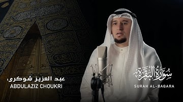 تلاوة تأخُذك إلى أجواء الحَجّ 🖤| القارئ عبد العزيز شوكري من سورة البقرة