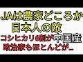 JAは農家どころか日本人の敵だった。JA販売コシヒカリなんと6割が中国産という地獄。政治家もおんなじほとんどが中国産。カタカムナ配信