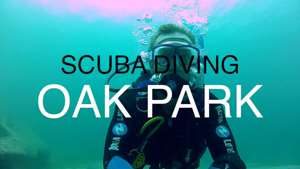Oak Park Cronulla Scuba Diving YouTube