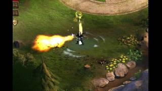 flame breath bug (during this skill till done, you can still use 4 skills )