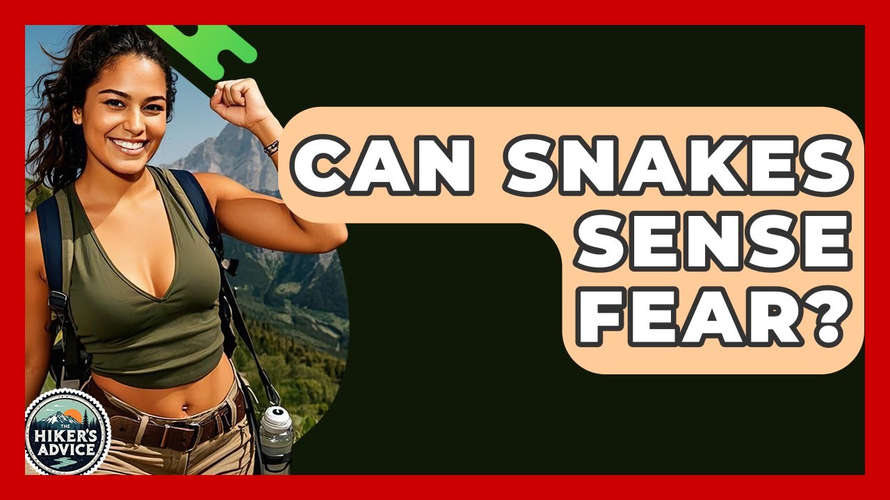 Can Snakes Sense Fear? - The Hiker's Advice