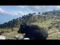 Seeing tibet for the first timemy countrybumla pass15000fttakstang gompamon tawangap state