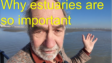 Estuary ecology and conservation