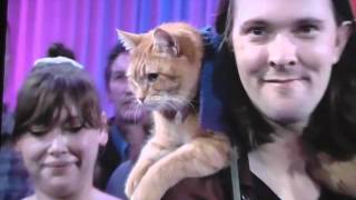 БУКТРЕЙЛЕР Рыжий кот БУКТРЕЙЛЕР Рыжий кот