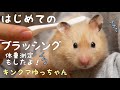 はじめてブラッシング&体重測定♪ゆっちゃんは何㌘かな？