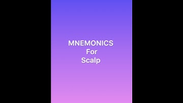 Mnemonic for Scalp #learning #mnemonics #physicaltherapy #medical #physio #education
