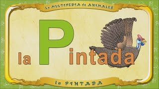 La Multipedia De Animales. Letra P - La Pintada