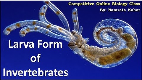 C.G. PSC AP/ SUBJECT:- ZOOLOGY/ Larval forms in Invertebrates