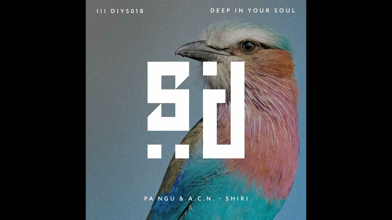 Watch PA NGU, A.C.N. - Shiri (Original Mix) || Afro House Source | #afrohouse on YouTube Watch PA NGU, A.C.N. - Shiri (Original Mix) || Afro House Source | #afrohouse on YouTube
