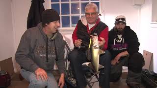 Walleye and Sauger at Zippel Bay Resort