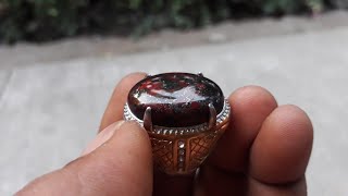 ini penampakan jelasnya BADAR BESI URAT EMAS #SHORTS