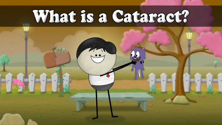 What is a Cataract? | #aumsum #kids #science #education #children