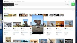 Searching for images using Getty Images