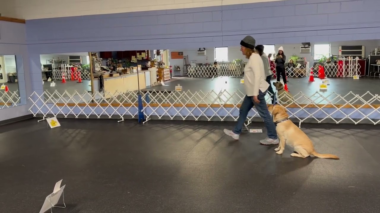 Rally Class with Evah