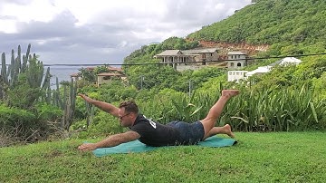 Alternating Arm/Leg Floor Cobra