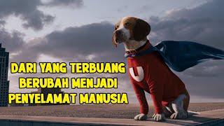 DARI ANJING YANG TERBUANG BERUBAH MENJADI ANJING PENYELAMAT MANUSIA | Alur Cerita Film UNDERDOG 2007