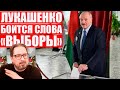Чалый: чиновники не готовы рвать задницу за Лукашенко и выборы, которых он боится как огня