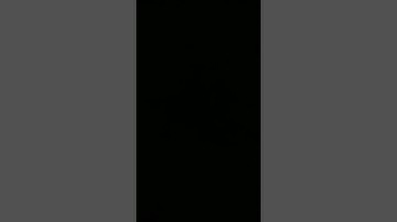 Lời nguyện/ lễ cầu cho các linh hồn 2-11 hàng năm