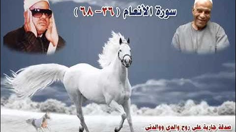 الشيخ / عنتر سعيد مسلم $ سورة الأنعام (36-68)(إنما يستجيب الذين يسمعون ...) روووعة