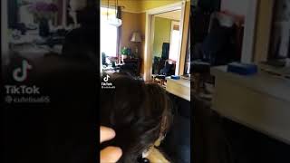 Cat Memes Tiktok Shorts Reddit Play Together