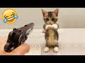 Best Funny Dogs And Cats Videos 😅 - Funniest Animals Videos 2023😇 #7