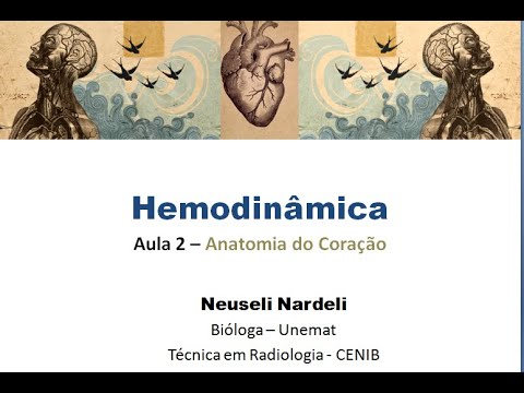 Vídeo: Quadro Computacional De Imagens Médicas E Hemodinâmica Para Análise Funcional E Avaliação De Estruturas Cardiovasculares