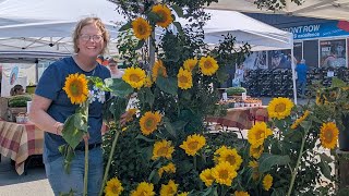#74 Too Many Sunflowers?! Here’s What We Did for Canadian Flowers Week 🌻