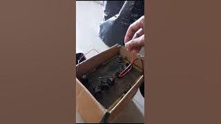 Alarm atret mundur mobil bos muda mau mundur minat wa 087804106656