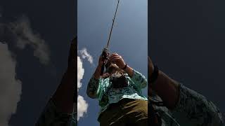 Cast your reel in the Brighton Howell Area
