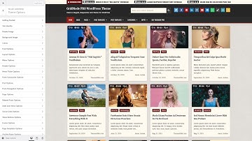 Customizer Theme Options - GridMode PRO WordPress Theme