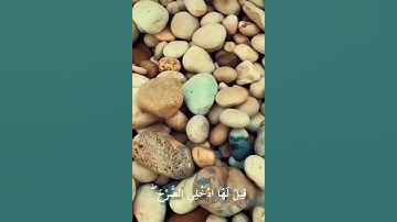 سورة النمل ،(قِيلَ لَهَا ادْخُلِي الصَّرْحَ ۖ )