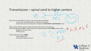 Pain ITE Keywords - (Dr. Craig)