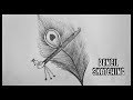 Cool Pencil Peacock Feather Drawing Images
