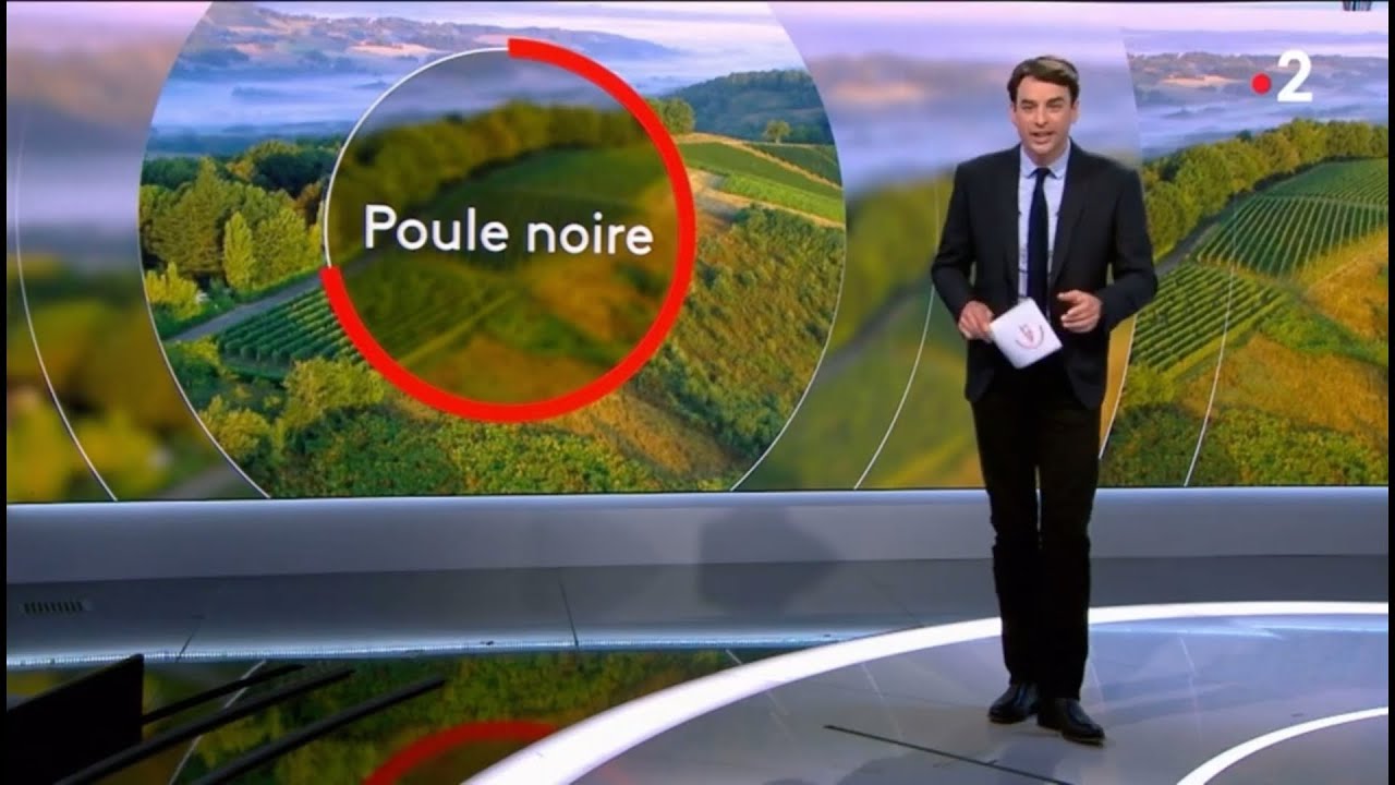 JT de France 2 dans le Gers : La Poule Noire d'Astarac
