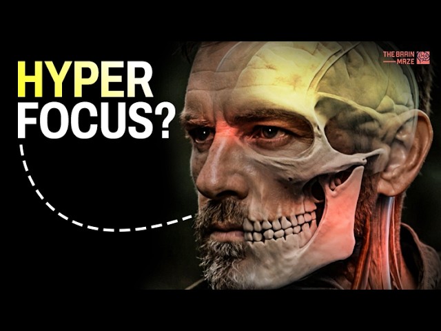 Inside Your Body Before and After a Dangerous Encounter