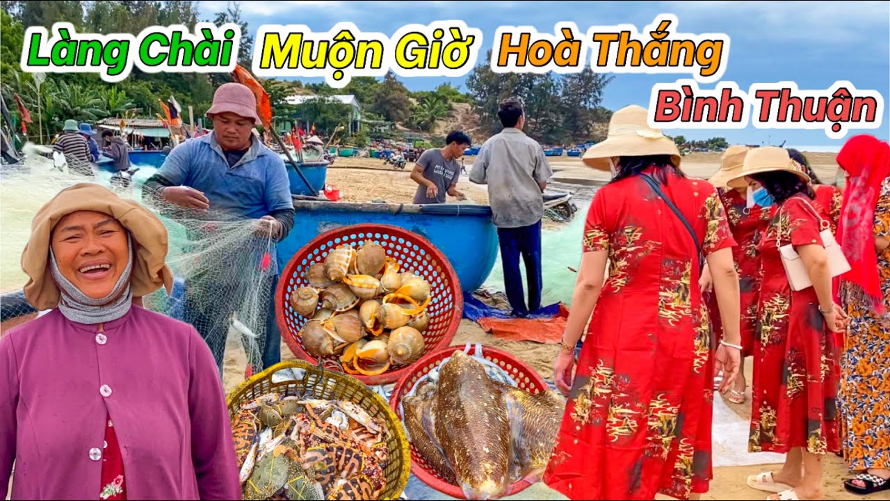 Đi Trễ Vẫn Mua Được Hải Sản Tươi Sống | Biển Hoà Thắng Bình Thuận 2023