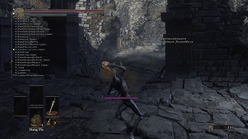 Item Swap Behavior\last move used issues in debug menu.