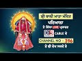 Live  sh kali mata mandir patiala live stream