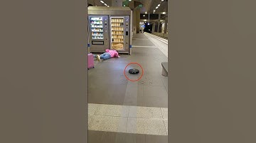 This Cleaning Robot Saved Her Belongings! 👏❤️