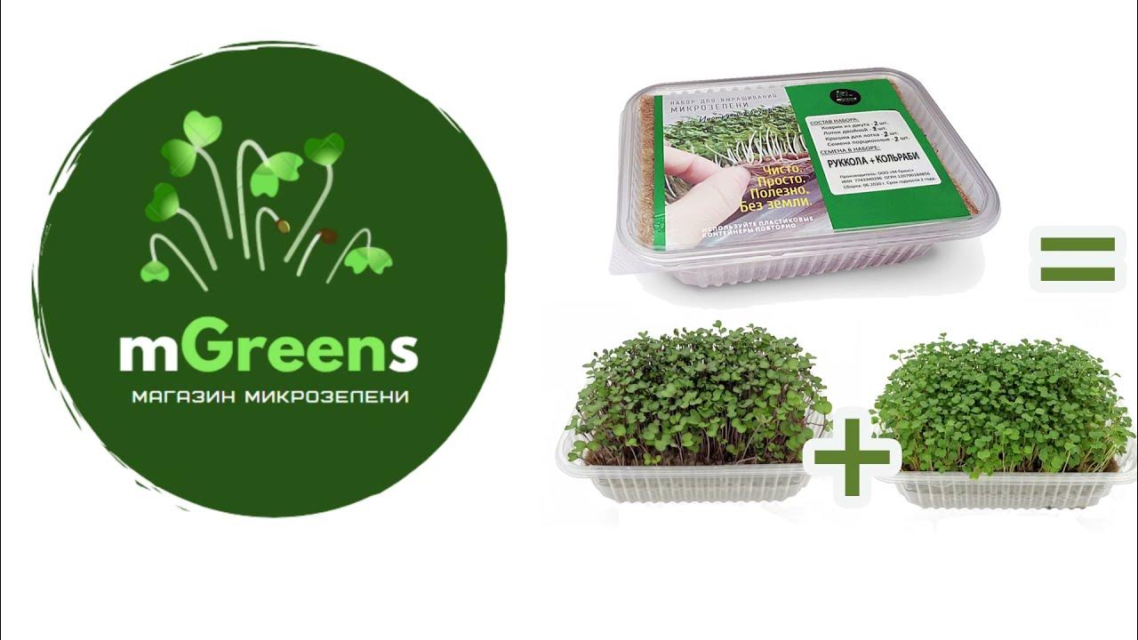 Комацуна зеленая микрозелень. Набор семян микрозелени. Семена для проращивания микрозелени. Семена на микрозелень брюква микс. Набор для микрозелени.