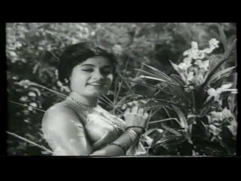 Tumne Hansi Hi Hansi Mein - তুমনে হংসী হী হংসী মৈং Music Video Thumbnail in Bengali