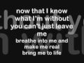 Evanescence- Bring Me To Life (Lyrics)