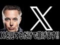 【これは熱い!】『X』見てるだけでお金貰える時代到来!【仮想通貨】【副業】