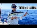 CATCH & CLEAN TUNA 🍣🎣 How to catch Blackfin Tuna | Gale Force Twins