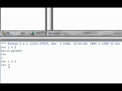 Python Interpreter and Operators